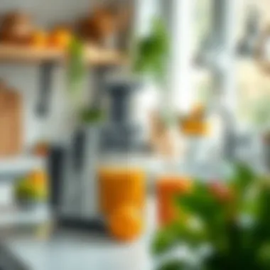 Magnificent Affordable Juicer Machines: A Comprehensive Guide Magnificent Affordable Juicer Machines: A Comprehensive Guide