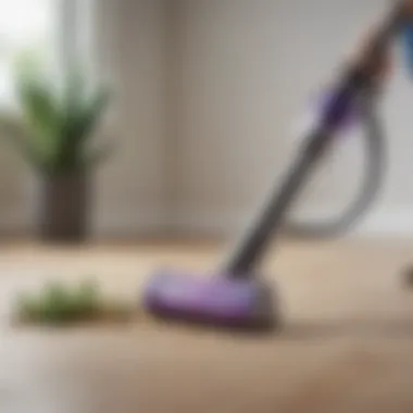 Magnificent An In-Depth Review of the Dyson V8 Animal Cordless Stick Vacuum