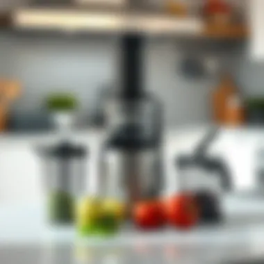 Magnificent Best Masticating Juicer for Beginners: A Comprehensive Guide Magnificent Best Masticating Juicer for Beginners: A Comprehensive Guide