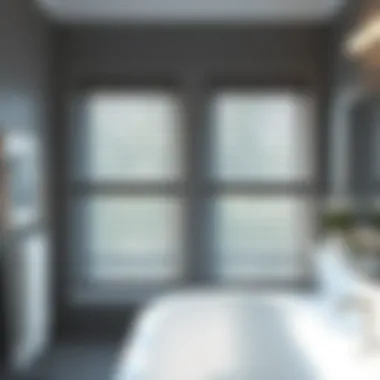 Magnificent Choosing and Implementing Blinds for Bathroom Windows