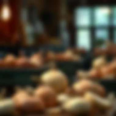 Magnificent Exploring the Benefits and Availability of Large Onion Sets for Sale Magnificent Exploring the Benefits and Availability of Large Onion Sets for Sale