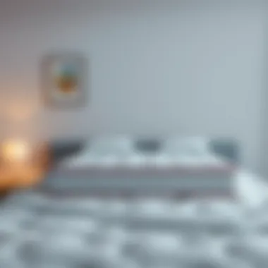 Magnificent Exploring the Benefits and Features of At Home Mattress Protectors