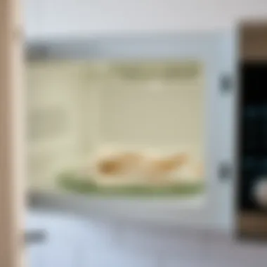 Magnificent Methods for Cleaning the Inside of a Microwave