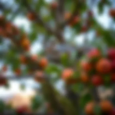 Magnificent Strategies for Protecting Fruit Trees from Squirrel Damage Magnificent Strategies for Protecting Fruit Trees from Squirrel Damage