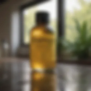 Chemical Solutions for Eradicating Gnats Chemical solutions for pest control in a home environment
