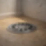 Clogged shower drain with water accumulation