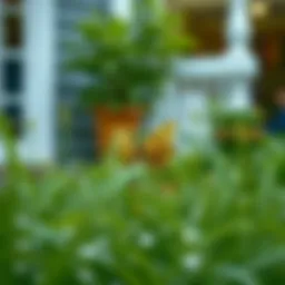 Addressing the Weeds: Effective Strategies for a Flourishing Yard Introduction