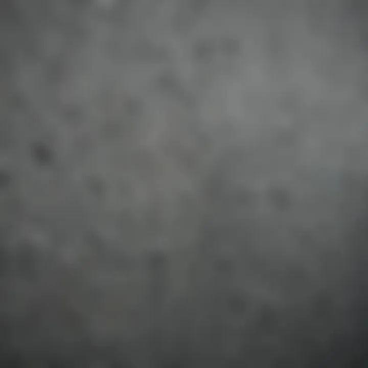 Close-up of Behr's Color of the Year on a textured wall