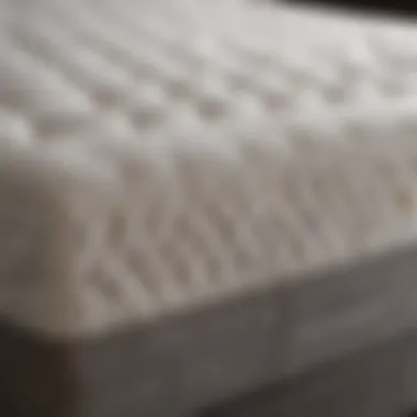 An assortment of materials used in high-quality firm mattresses.