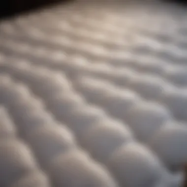 Exploring Mattress Materials Different mattress materials laid out to illustrate options for durability and comfort.