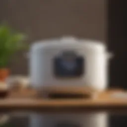 Elegant Zojirushi rice cooker showcasing its modern design and features