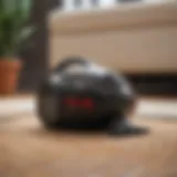 Compact vacuum designed for pet hair removal
