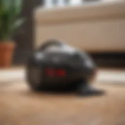 Compact vacuum designed for pet hair removal