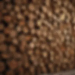 Various types of firewood stacked neatly