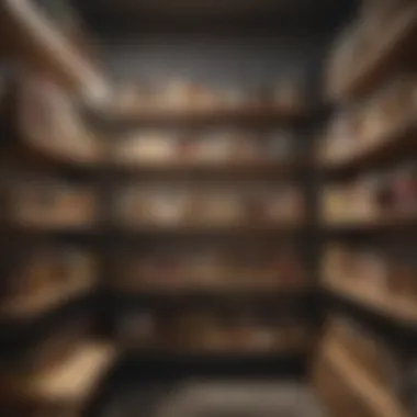 Organized pantry shelves demonstrating effective use of space and accessibility.