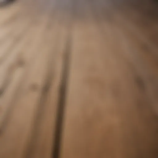 Sanded deck surface revealing fresh wood grain