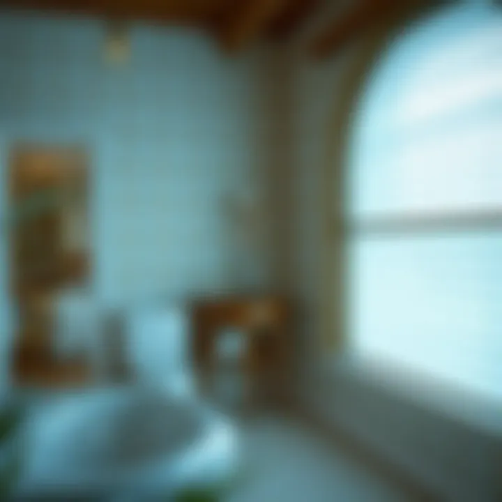Notable Choosing and Implementing Blinds for Bathroom Windows