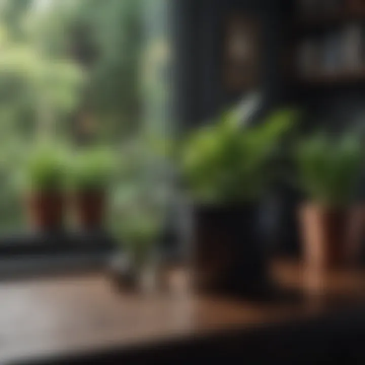 Dark colors used strategically to add depth to a compact area