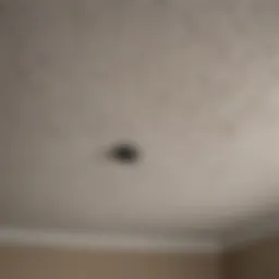 Close-up view of a textured popcorn ceiling before removal