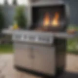 Modern three-burner propane grill with sleek design