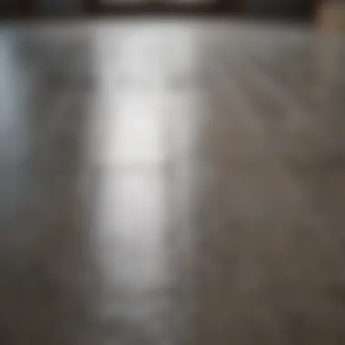 A close-up of a sparkling tile floor after cleaning