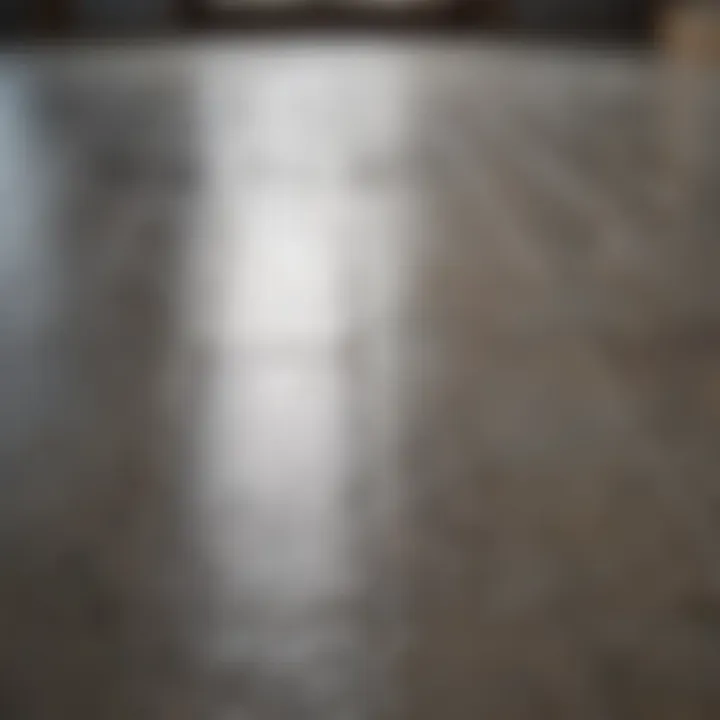 A close-up of a sparkling tile floor after cleaning