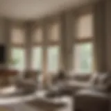 Elegant Roman shades in a softly lit living room