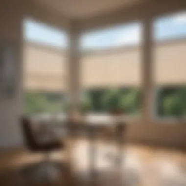 Modern roller blinds enhancing natural light in an office