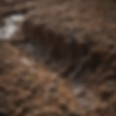 A close-up of soil indicating poor drainage with water accumulation.
