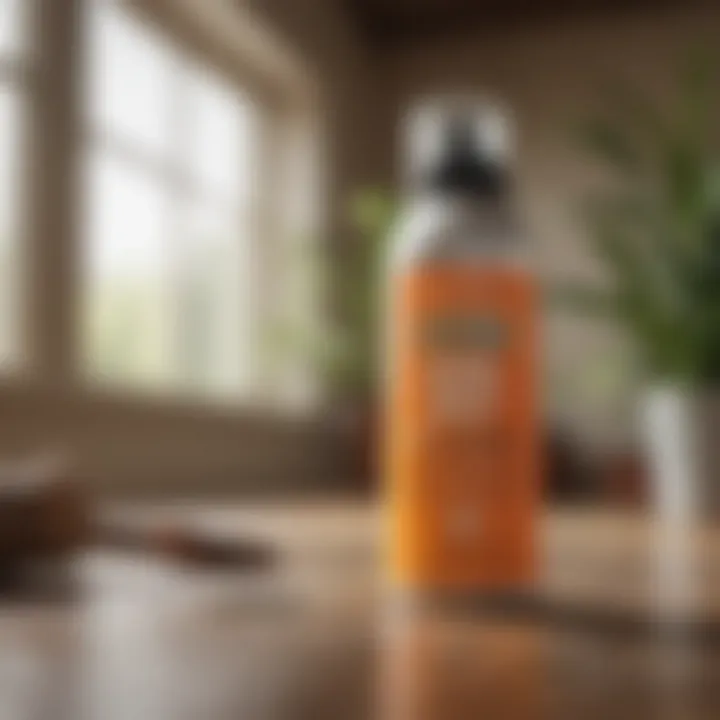 DIY bug spray application