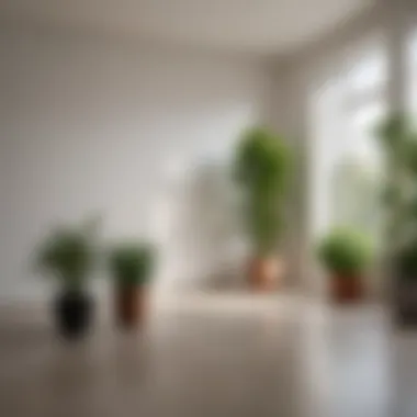 Indoor Serenity: Minimalism with Potted Plants A minimalist indoor space enhanced by carefully selected potted plants