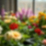 Cultivating Garden Fresh Flowers: A Comprehensive Guide Introduction