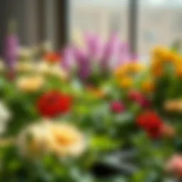 Cultivating Garden Fresh Flowers: A Comprehensive Guide Introduction