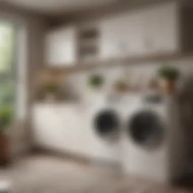 Stylish design trends for modern laundry room cabinetry