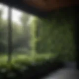 Lush dense shrubs creating a natural privacy screen