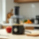 Determining the Optimal Small Food Processor for Your Needs Introduction