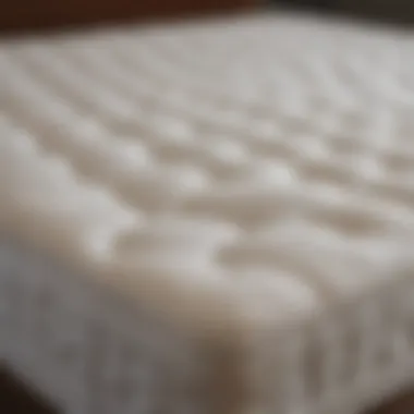 Affordable Mattress Toppers for Every Budget Budget-friendly mattress topper options on display