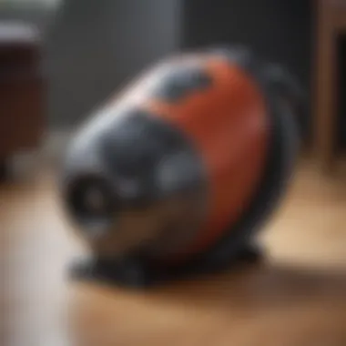 Powerful Pet Hair Vacuum A powerful vacuum designed specifically for pet hair removal