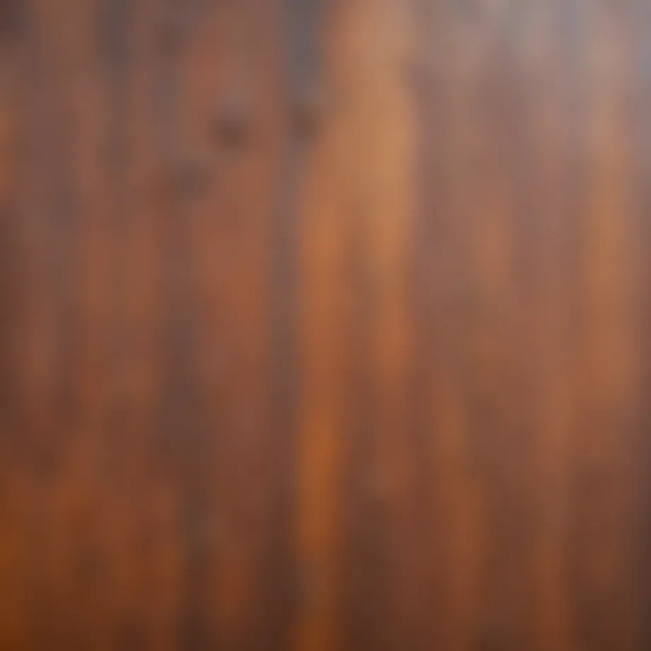A close-up view of rust on a metal surface, highlighting the corrosion.