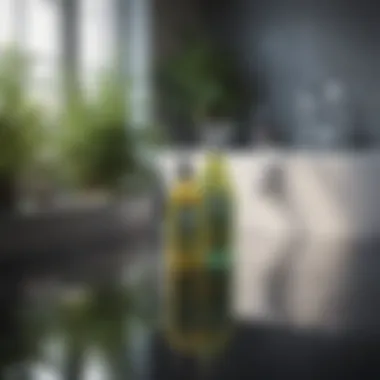 Eco-Friendly Cleaning Agents for a Healthier Home Eco-friendly cleaning agents for a healthier home