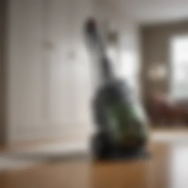 Person using a vacuum cleaner to remove pests from a room