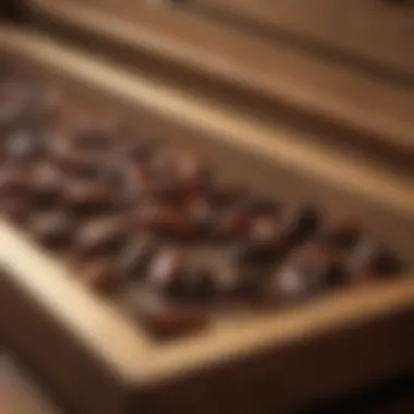 Close-up of roaches hiding in a drawer