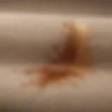 Close-up of foundation stain on fabric