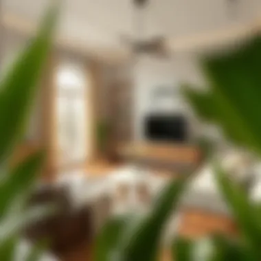 Enhancing Home Value: Strategies for Modern Homeowners Summary