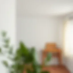 Essential Elements for Repairing Drywall Introduction