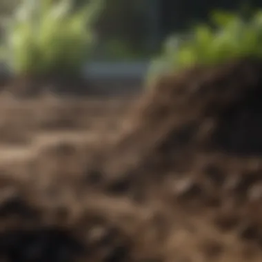 Close-up of nutrient-rich soil ready for planting