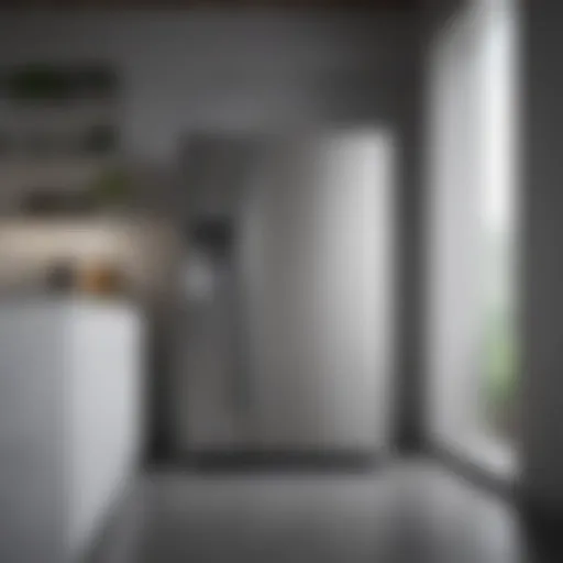 Showcasing the sleek design of a modern refrigerator