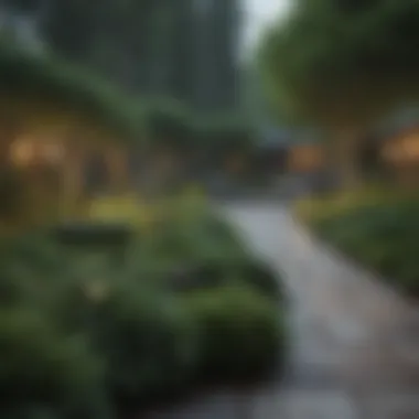 Lush evergreen trees providing year-round greenery in a backyard setting