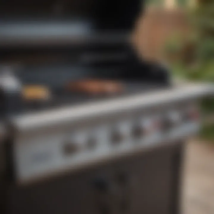 Close-up of BBQ grill features showcasing burners and heat control