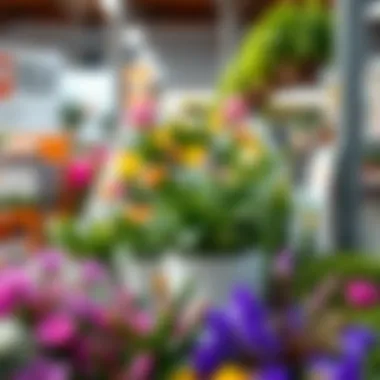 Notable Exploring Easter Plants Available at Home Depot Notable Exploring Easter Plants Available at Home Depot